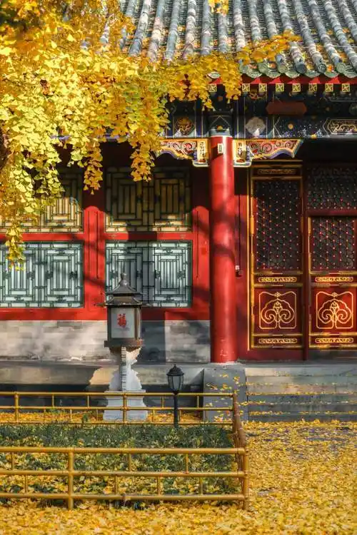 恭王府征集照片送秋日"福利" | 极目新闻