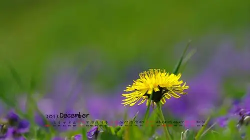 清新绿色护眼高清12月日历桌面壁纸