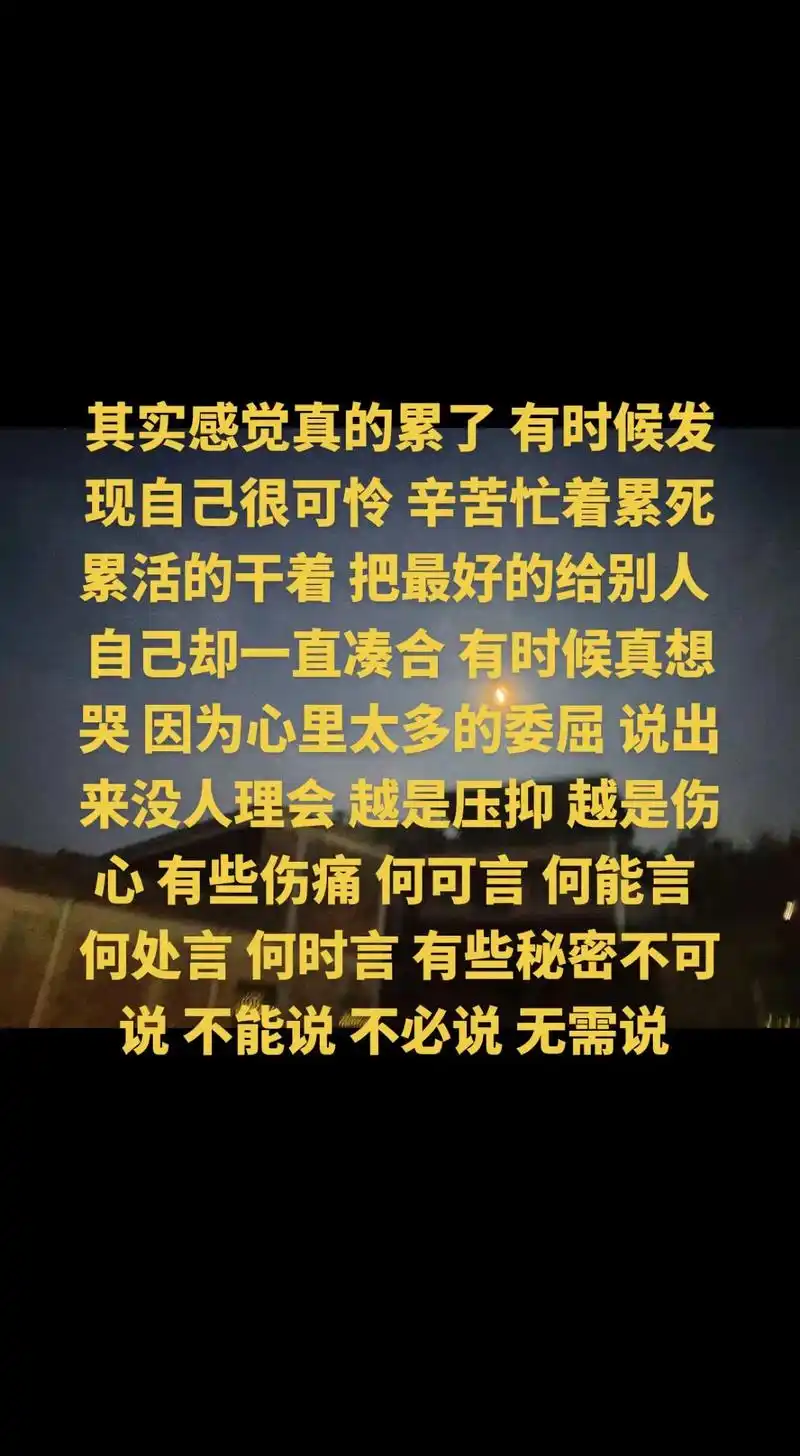 一直凑合 有时候真想哭 因为心里太多的委屈 说出来没人理会 越是压抑