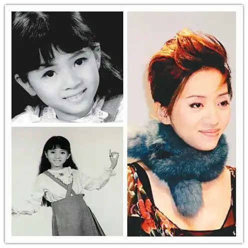 梅艳芳,觉不觉得与章子怡有的相似