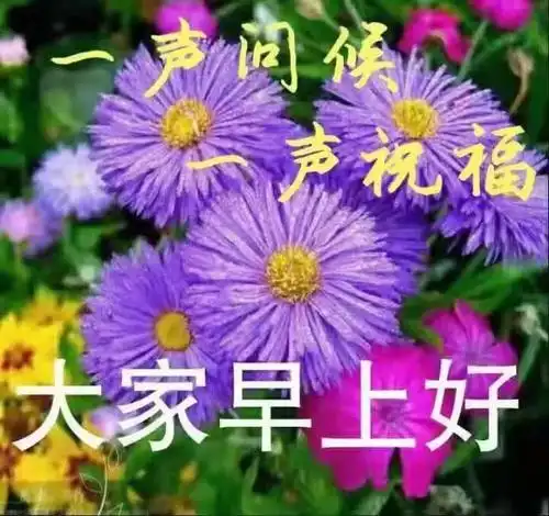 大家早上好夏天最好看的早上好图片祝福语早上好表情大全