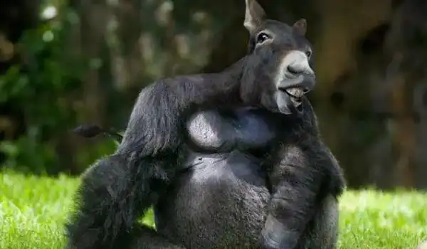 假如世界上都是变异动物你会怕吗?当看到蜘蛛鲨鱼后我立马就怂了