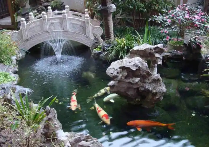 屋宅风水池塘多深多大为宜(庭院做鱼池的讲究)--亚圣国学网