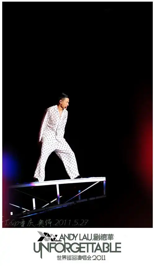 刘德华世界巡回演唱会2011.重庆站