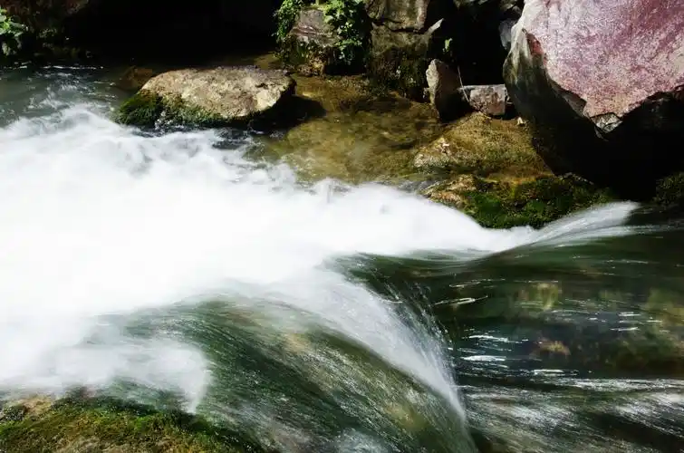 8游云台山——青山绿水萌猴图片484,河南省旅游景点,风景名胜 - 蚂