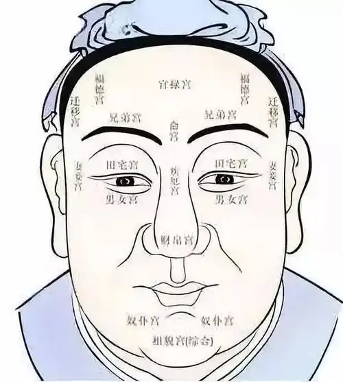 鼻子塌陷的人面相分析女人塌鼻子好吗女人塌鼻子的面相代表什么图文