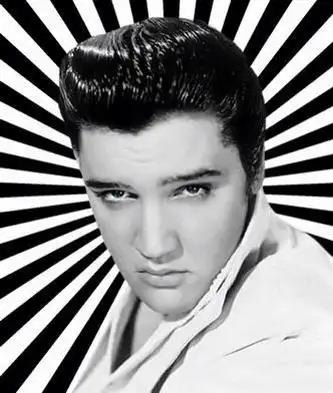 谁有猫王的这张壁纸,要高清的谢谢