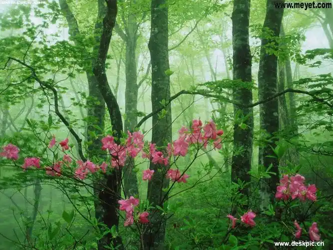 不信就试试 【1】首先,挑一个数字(0 -7)表示每个礼拜想出去走走的