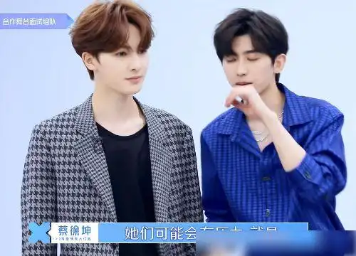 黄明昊录奔跑吧跟蔡徐坤打招呼方式很特别npc的默契