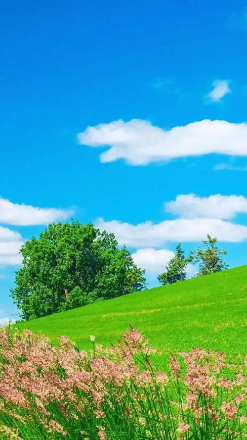 简单的小清新风景