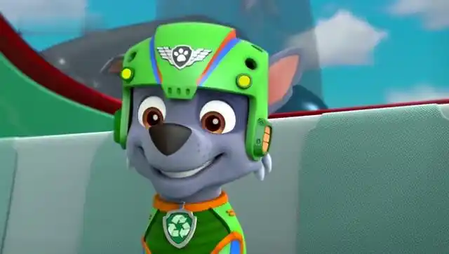 汪汪队立大功咕咕鸡要怎么样才能找到金子呀