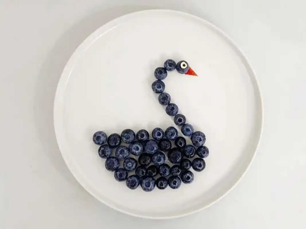 今日plog:创意水果摆盘 蓝莓堆成一个黑天鹅 嘴巴是用的苹果果肉哦