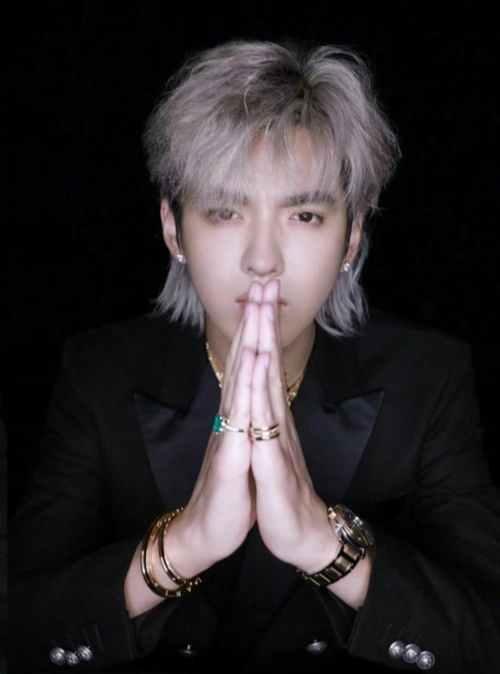 当男星遇上狼尾发型:蔡徐坤很野肖战很苏,但我还是忘不了这位的_腾讯