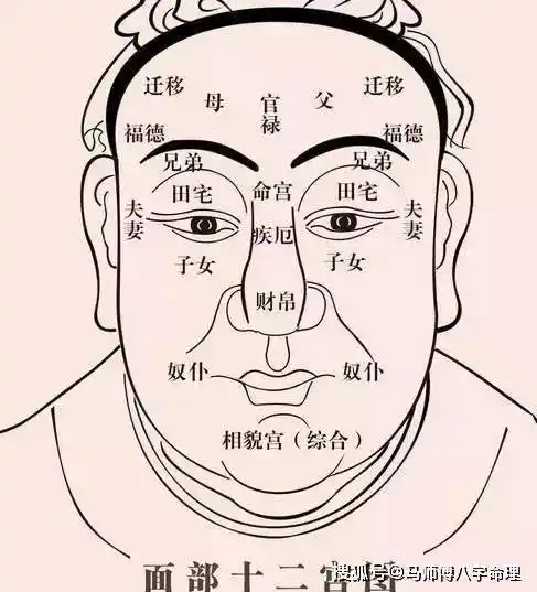 耳朵是面相上重要的部位,一个人一生成长过程都记录在耳朵上.