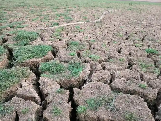 南方部分地区为何持续大旱?工程性缺水加剧旱情