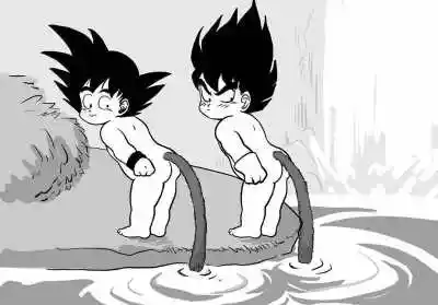 卡卡罗特贝吉塔