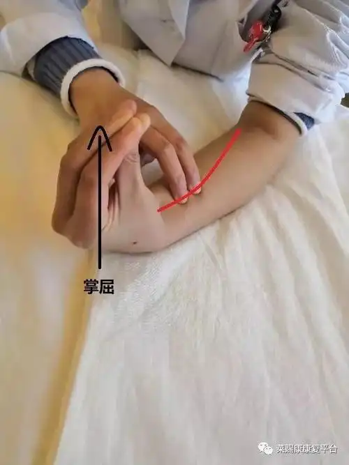 手背置于桌上,在确认了豌豆骨的位置后,要进行腕关节的掌屈和尺屈运动