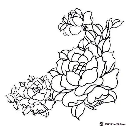 牡丹花简笔画牡丹花简笔画简单又好看
