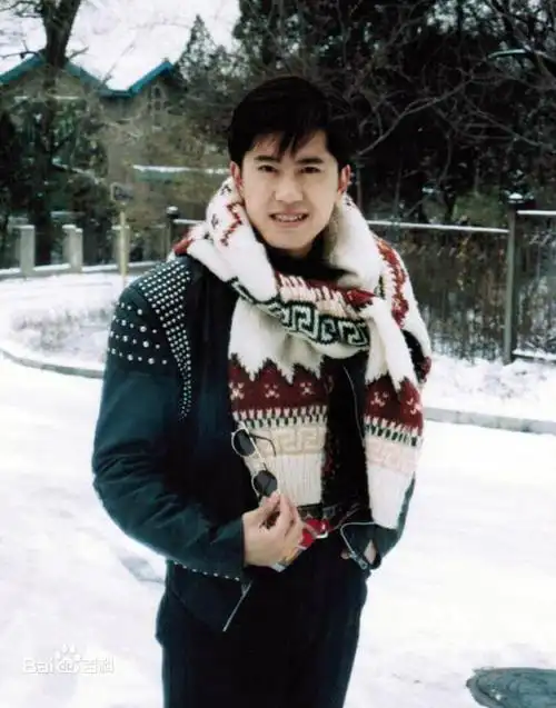 90年代十大帅气男歌星今昔照,毛宁林依轮解晓东蔡国庆高林生,谁的变化