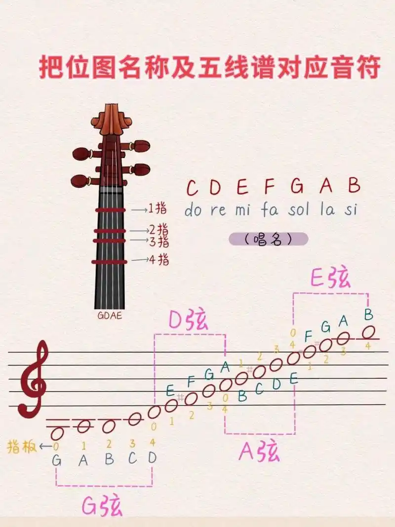 初学小提琴?带你轻松认识把位图 小提琴不认识琴弦?
