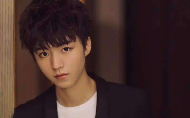 王俊凯优雅绅士风高清桌面壁纸