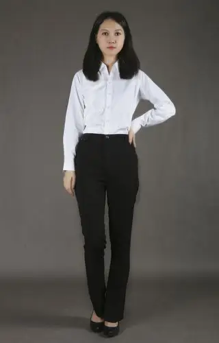 2016款 女式长袖v领衬衫 暗细斜纹商务修身白衬衣 ol白领职业装-人参