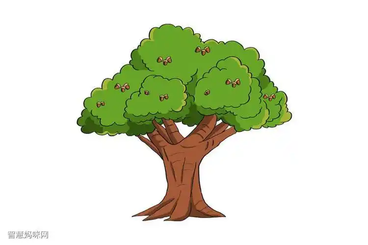 橡树简笔画彩色