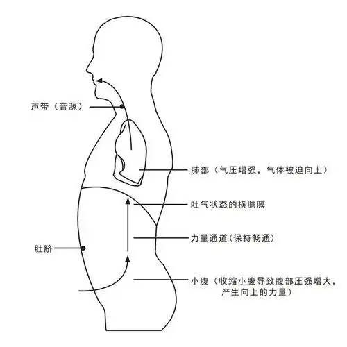 唱歌的气息系统和咬字系统是怎么协作的