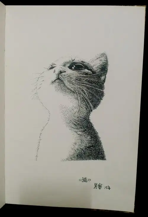 点绘|插画|插画习作|无刀削木 - 原创作品 - 站酷 (zcool)