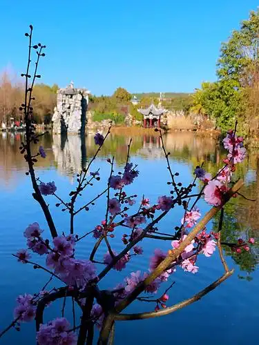 2021新春第一天郊游