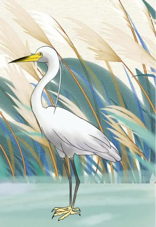 一只白鹭上成都