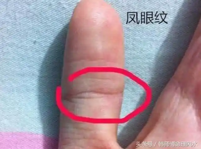 2,元宝纹是由两条大概三条主线(感情,伶俐,生命线)一起和其他的一些