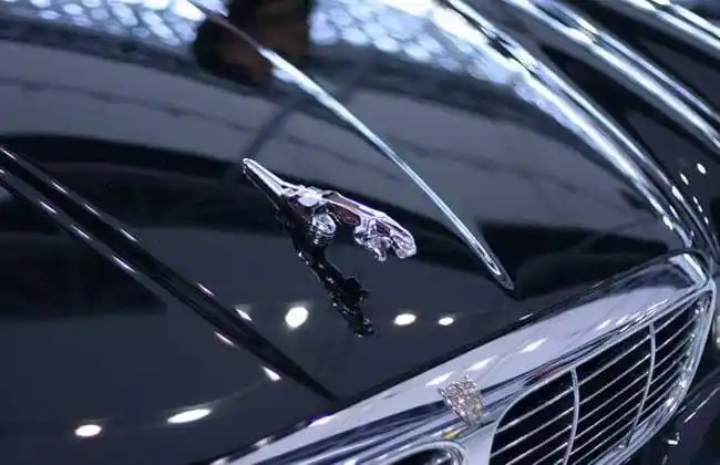 豹子标志是什么车?