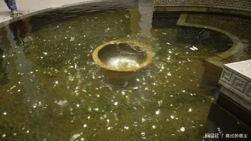 旅游景点里许愿池里的钱最后是怎么处理的?说出来你都不一定相信