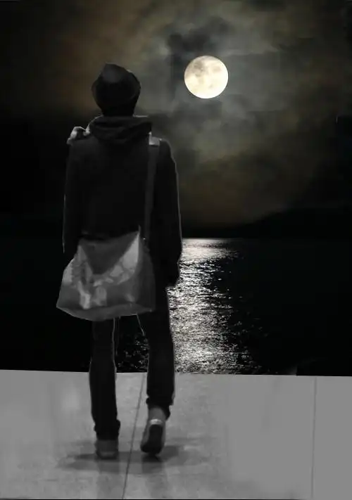 找一个图片,内容是在夜里一个男孩的背影最好模糊一点,要显得凄凉