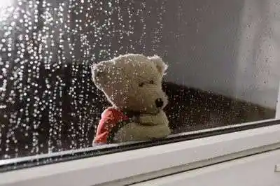 有一只小熊趴在窗边望着窗外雨一直下图片
