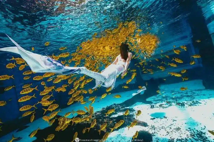 长腿美女去三亚学潜水拍水下大片,太惊艳了!4000块值么?