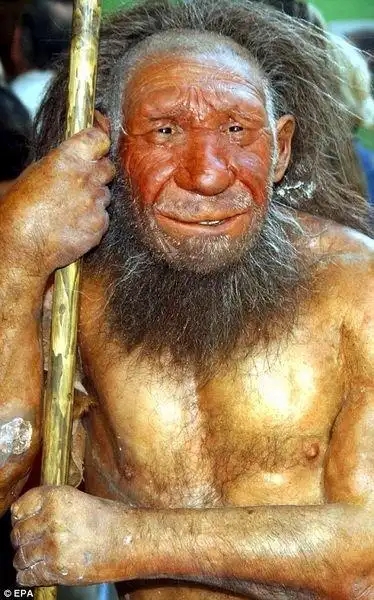 这种原始人类崛起于大约13万年前,他们体力充沛,远超过现代人.