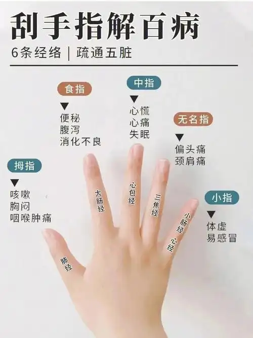 花雨养生手指穴位解析