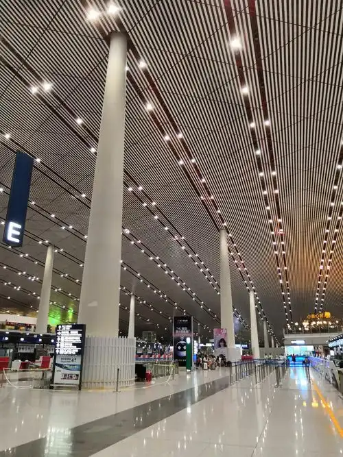 这是8月26日凌晨两点,首都机场侯机大厅的场景.