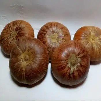 补肾果有什么功效与作用常吃补肾果有五大好处