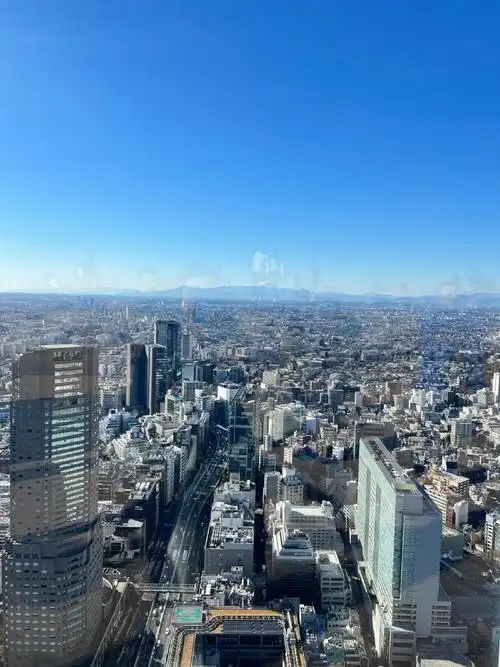 #东京塔##plog博主日记##日本旅行#