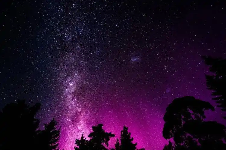 紫色- 堆糖,美图壁纸兴趣社区