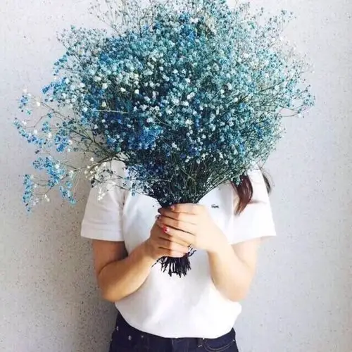 满天星 花语为:清纯,关怀 情感上,代表着"甘愿做配角的爱".