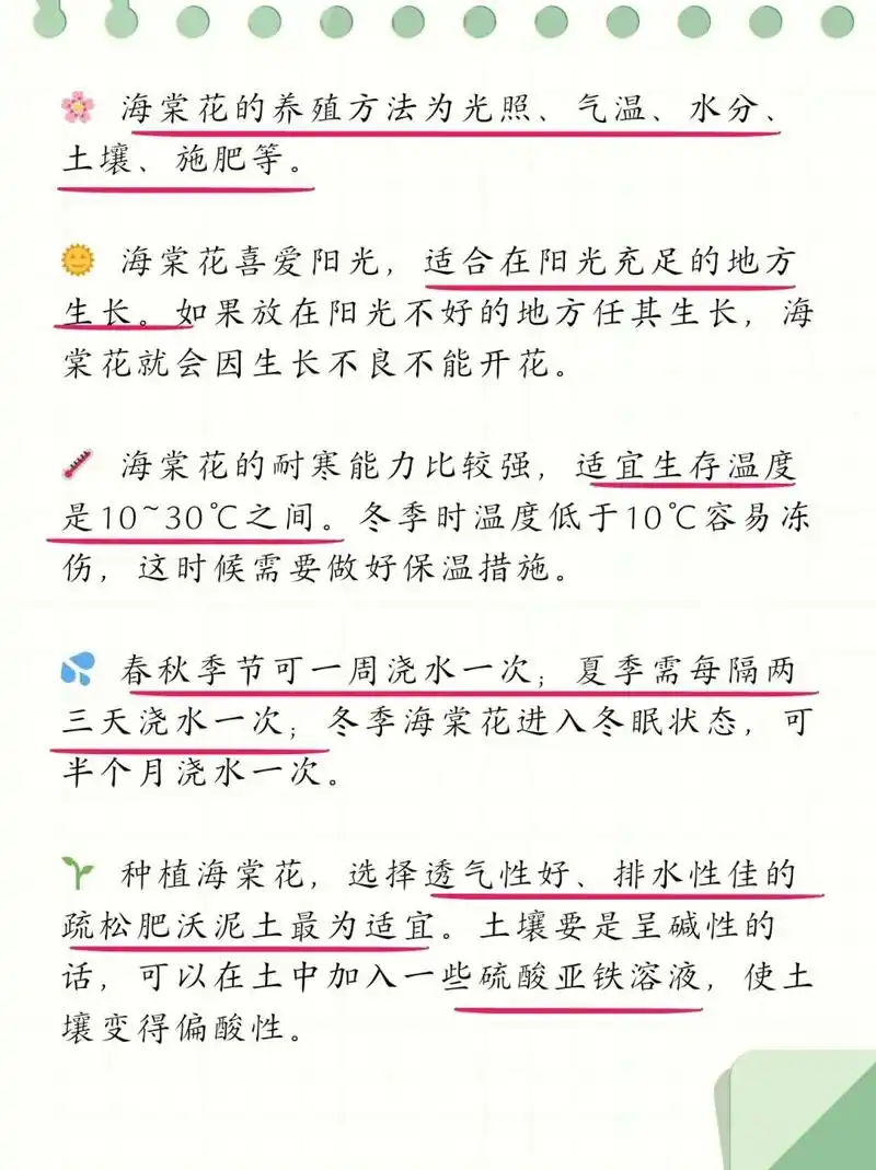海棠花的养殖方法和注意事项 盆栽  94 揭秘海棠花的养护秘籍:光照