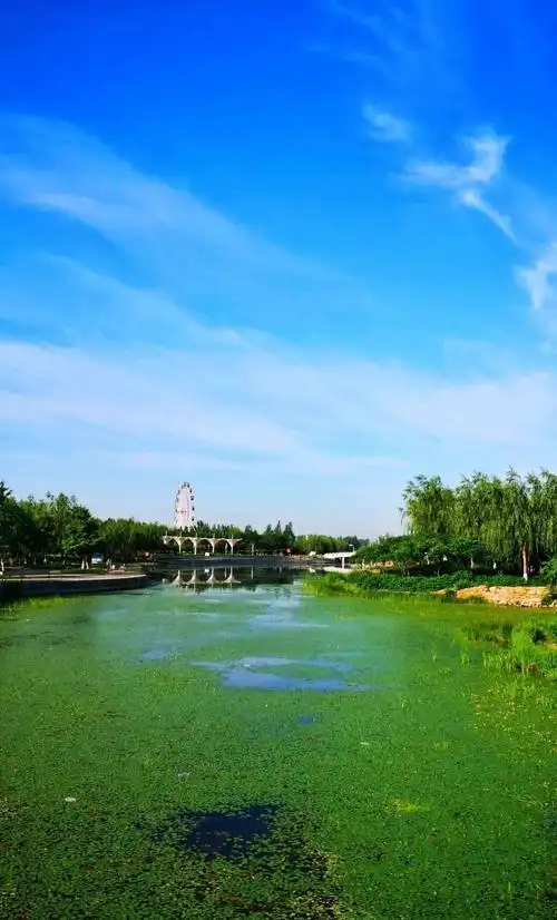 【玉田头条】6月3日,玉田新发生的事儿,附明日停电信息_玉田县