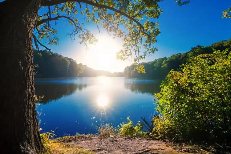 如诗如画的森林和太阳装饰小河