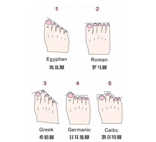 这"三种脚型"的女人,天生的富贵之命,衣食无忧,从不缺钱花