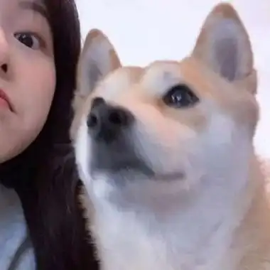 情侣头像闺蜜头像一左一右配对对象不是人系列超可爱独一无二