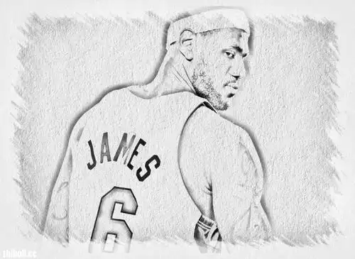 【【 lbj:我欠你们一座总冠军 】】